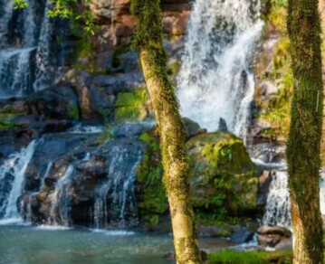 El encantador pueblo argentino distinguido por ONU Turismo que combina selva, yerba mate y naturaleza