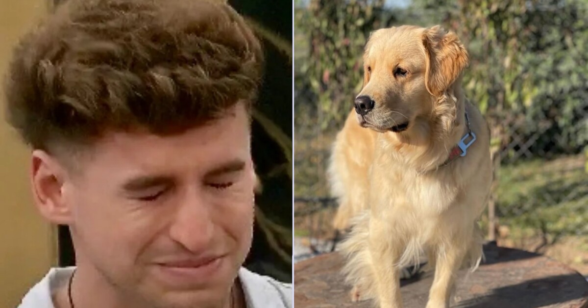 La reacción de Manuel Ibero al enterarse dentro de Gran Hermano de la muerte de su perra Ámbar