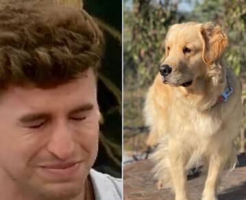 La reacción de Manuel Ibero al enterarse dentro de Gran Hermano de la muerte de su perra Ámbar