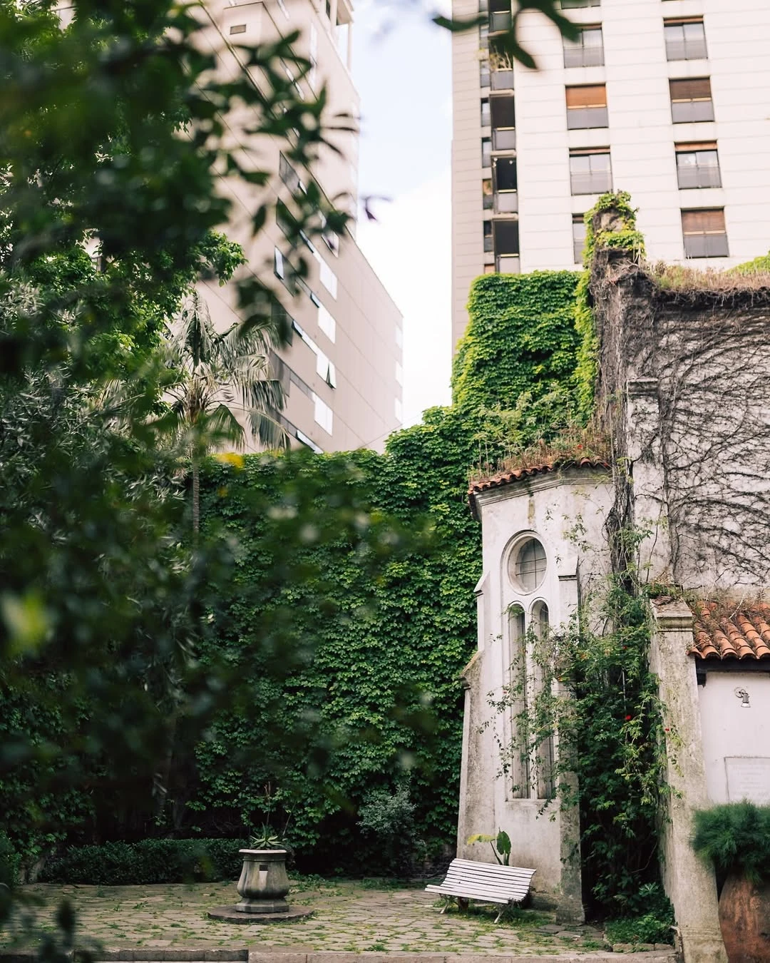 El café y jardín ocultos en pleno caos porteño que invita a rejalarse. 