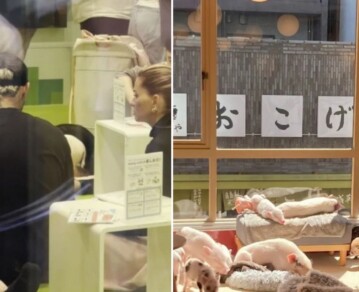 “Eso tiene una connotación”: el escalofriante motivo oculto detrás del viaje de la China Suárez y Mauro Icardi a Japón