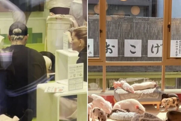 china y mauro en japon