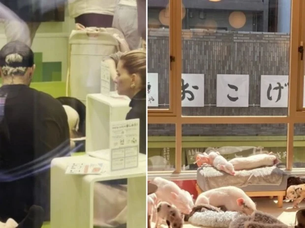 china y mauro en japon