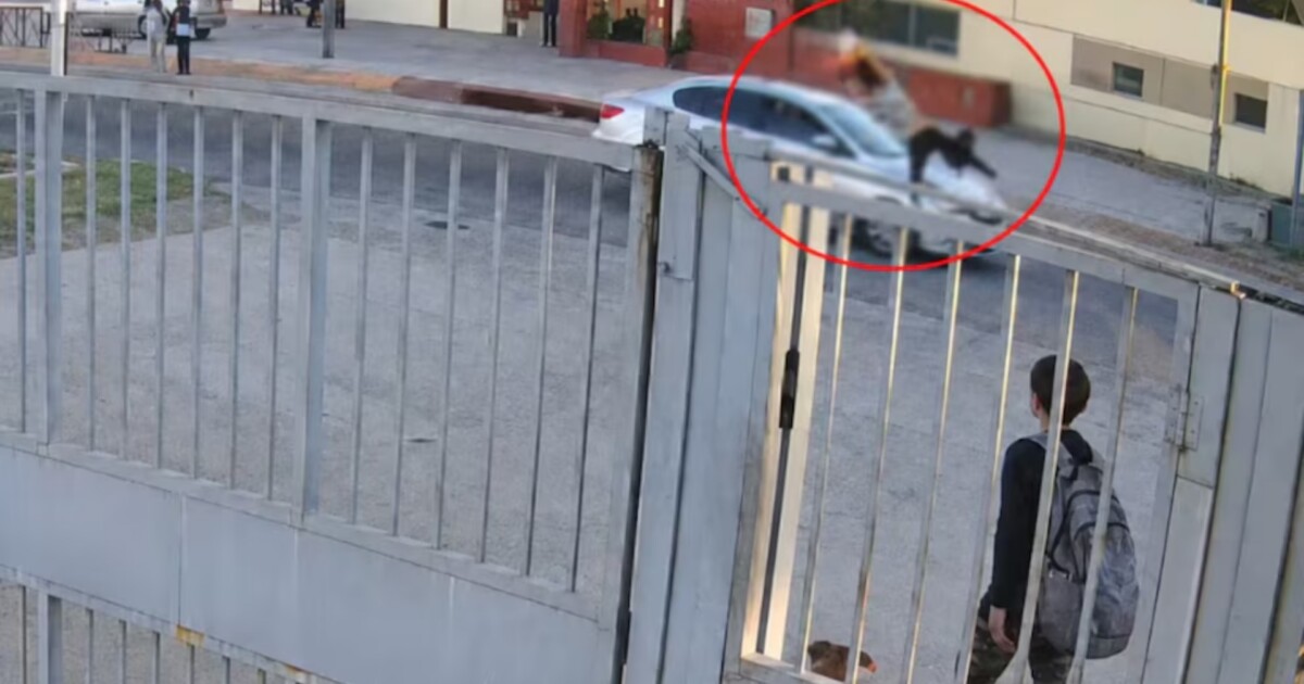 Brutal choque a una niña de 12 años al salir de la escuela en Córdoba: quedó en coma farmacológico