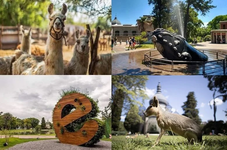 Con estos cambios, el Gobierno de la Ciudad busca consolidar al Ecoparque como uno de los espacios verdes con mayor concurrencia de la región, manteniendo su operatividad técnica a través del nuevo aporte de los visitantes no residentes.
