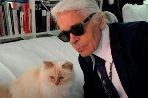 Choupette, la célebre gatita de Karl Lagerfeld está en la ruina tras heredar 170 millones de euros