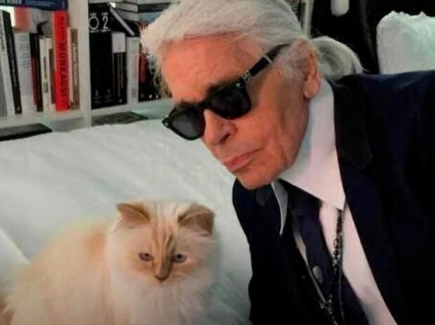 Choupette, la célebre gatita de Karl Lagerfeld está en la ruina tras heredar 170 millones de euros