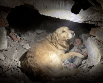 La verdad detrás de la foto del nene venezolano y su golden retriever que conmueve al mundo