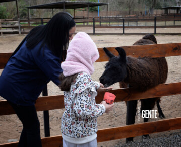 A menos de 2 horas de CABA: así es la granja educativa con parque aéreo y entradas accesibles ideal para toda la familia