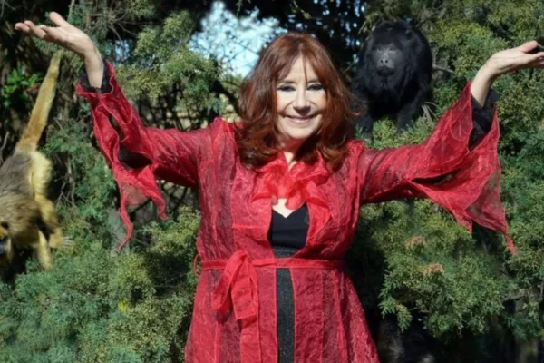 Agosto, el mes del Mono en el Horóscopo Chino.