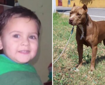 Qué dijo la dueña del pitbull que mató a Salvador, el nene de 3 años, en Córdoba