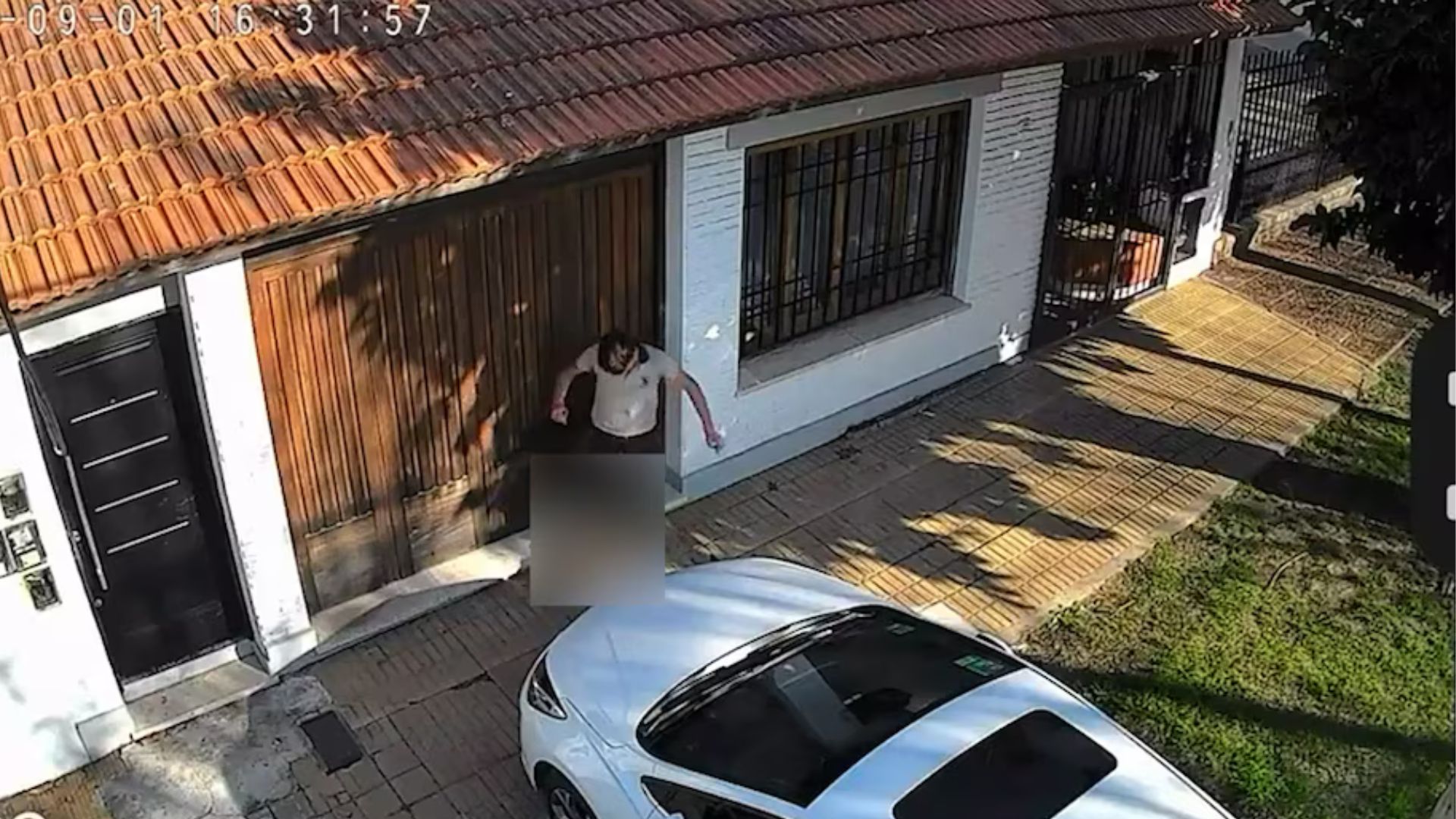 Rompió el silencio la familia del adolescente que pateó a un gato y se hizo viral