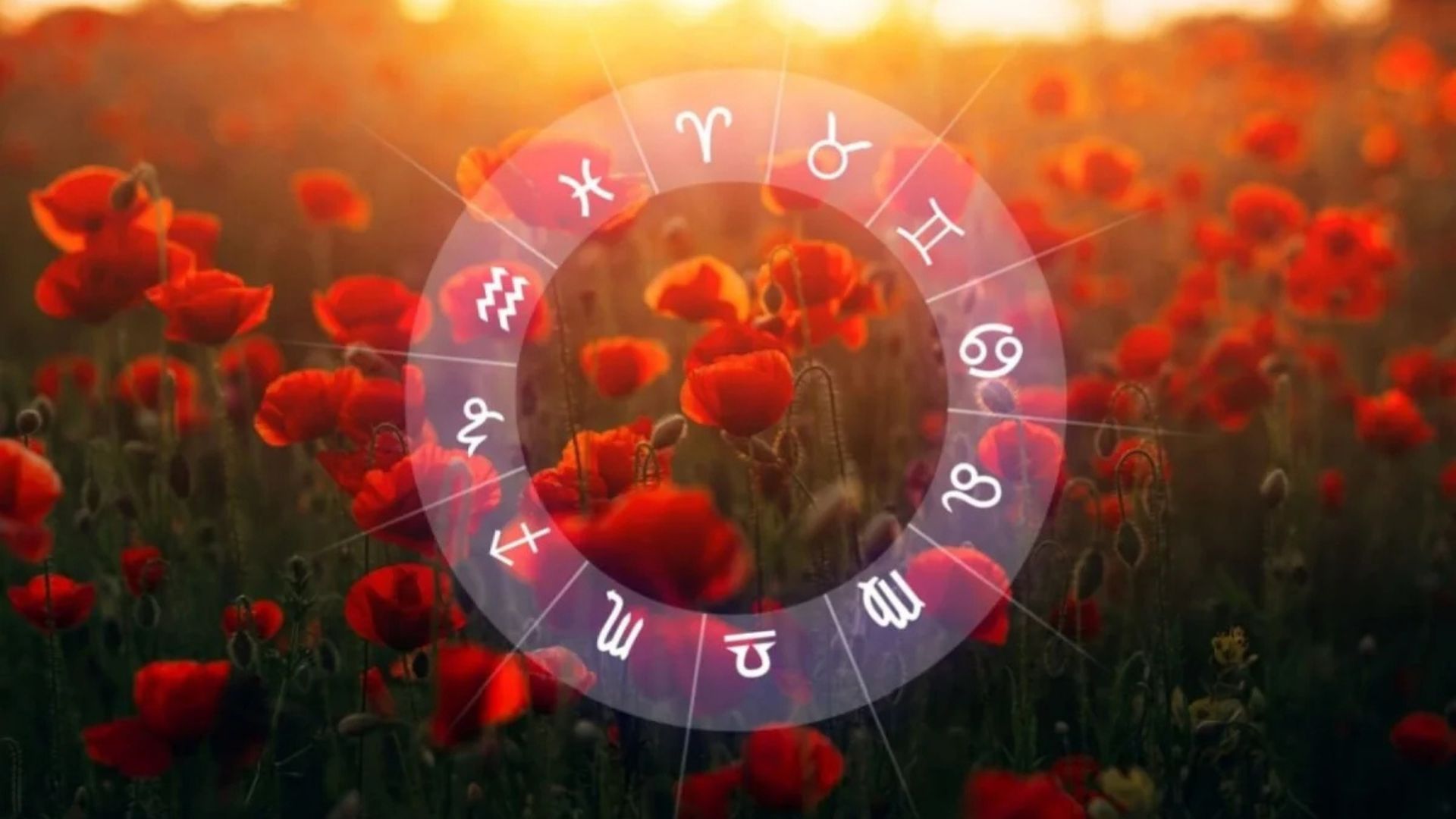 Las 12 predicciones para los signos del zodíaco en el equinoccio de primavera de 2026: amor, trabajo y dinero