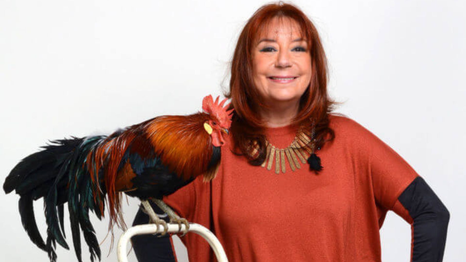Las 12 predicciones de Ludovica Squirru para septiembre, "el mes de la fuerte energía del Gallo"