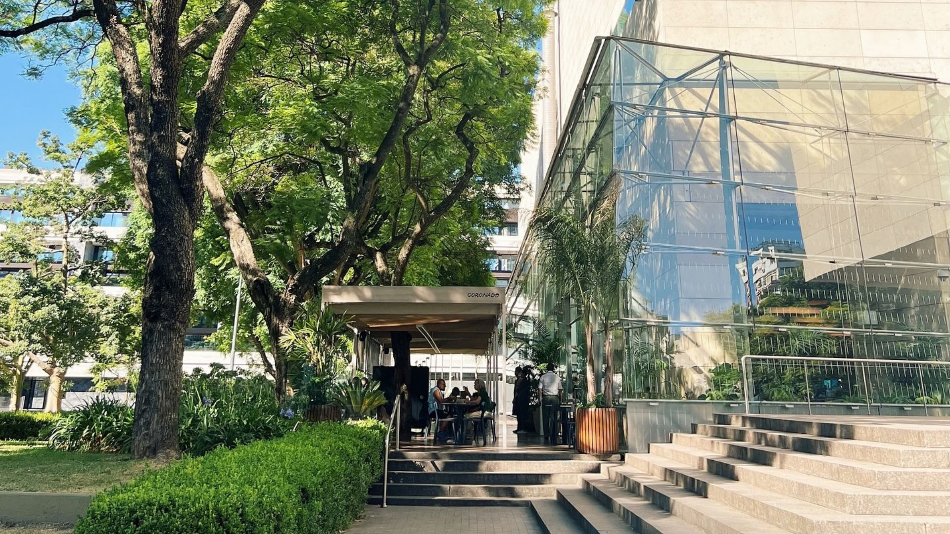 Cómo es Coronado, el restaurante del MALBA que tiene los mejores chipirones a la chapa de la Ciudad